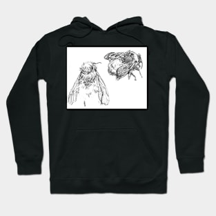 Bumblebees sketch Hoodie